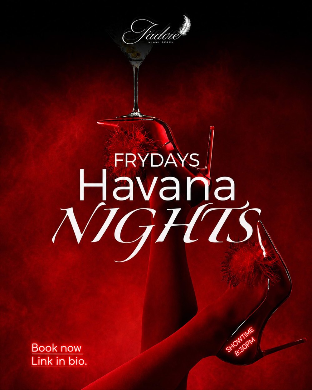 Havana Nights